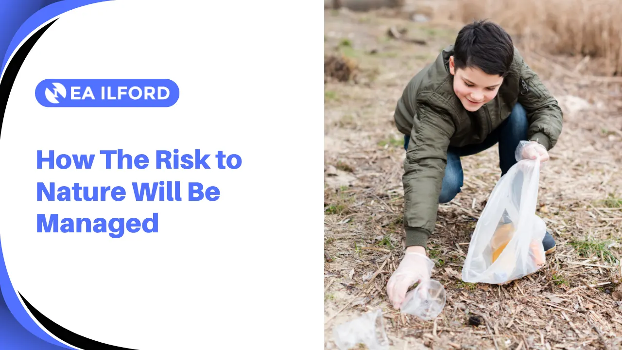 How The Risk to Nature Will Be Managed