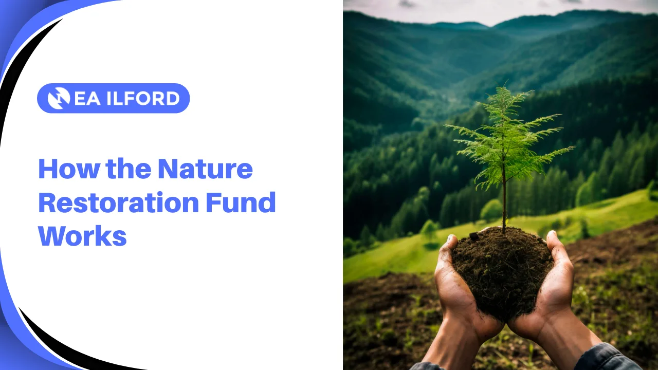 How this Fund Works