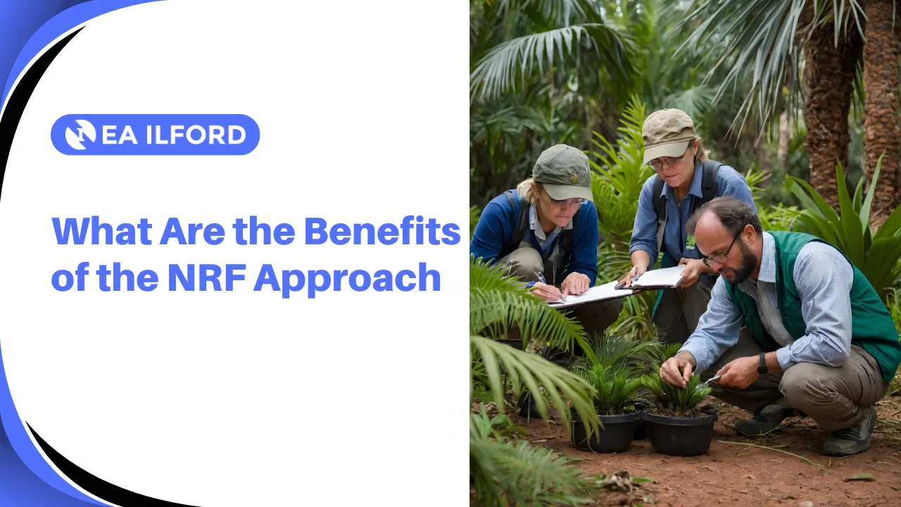 What Are the Benefits of the NRF
