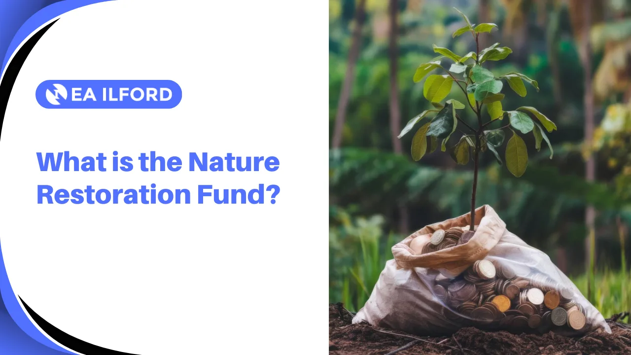 What is the Nature Restoration Fund